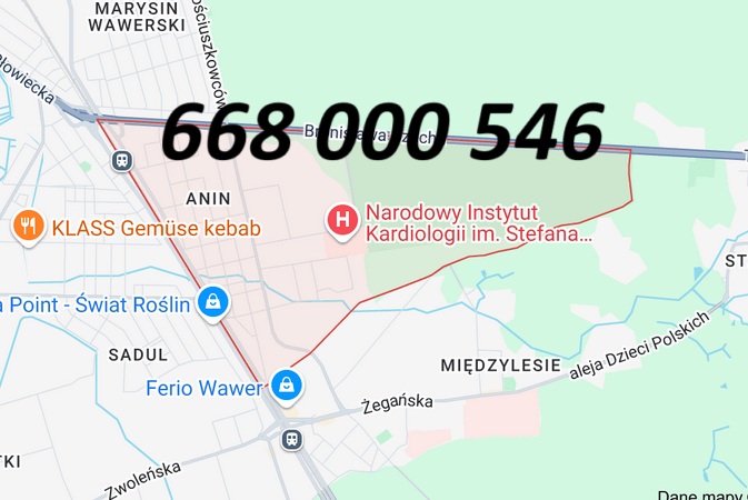 Sztukateria Anin