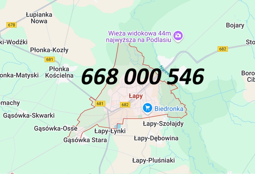 sztukateria Łapy