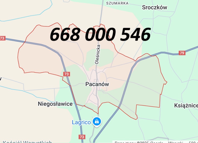 sztukateria Pacanów