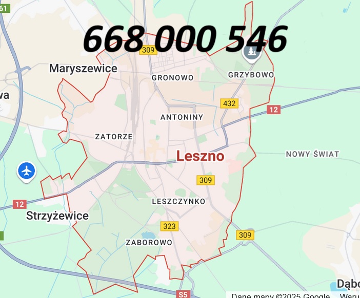 sztukateria Leszno