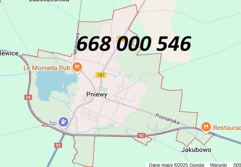 sztukateria Pniewy