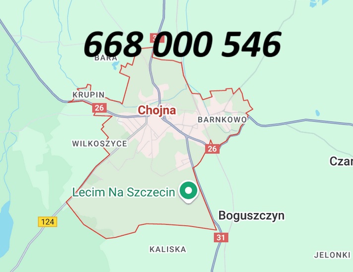 sztukateria Chojna